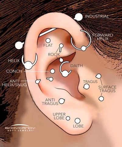 a map of different ear piercings